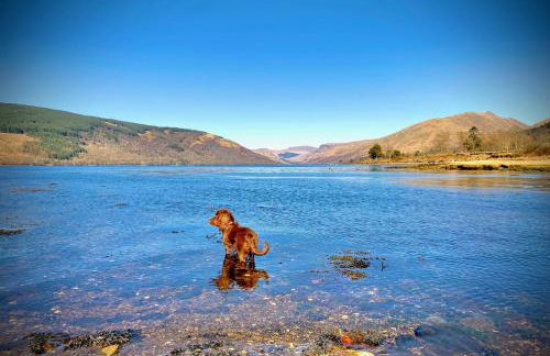 Seal Cove Cabin - Luxury Glamping - Foto 15