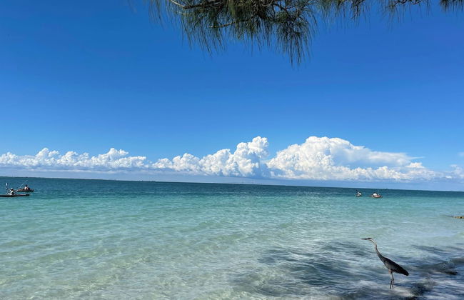 Sunshine Siesta - Hosted By SkyRun Anna Maria - Foto 73