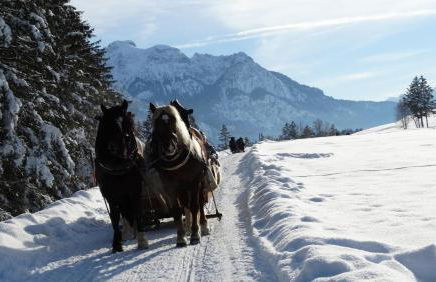 Ferienwohnung Alpenstern - Foto 14