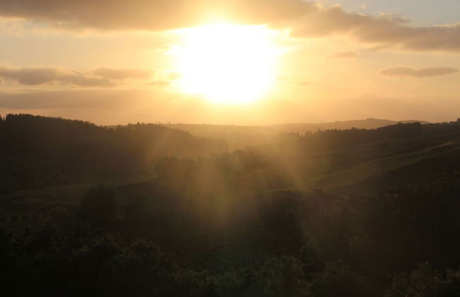 Terra Luso - Foto 22