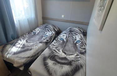 Charmant Mobil home avec piscine privative - Foto 14