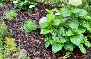 Atelier Farbenreich No 8 - Foto 11