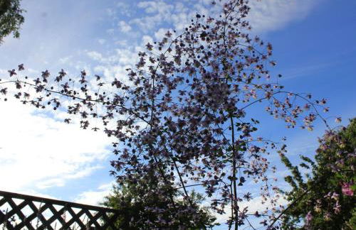 Apartment Appartement mit Wallbox by Interhome - Foto 36