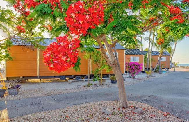 Aqua Lodges at 47th Street Gulfside - Foto 17