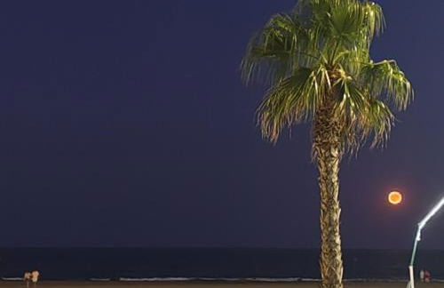 Studio SAM - Face à la Mer - Foto 24