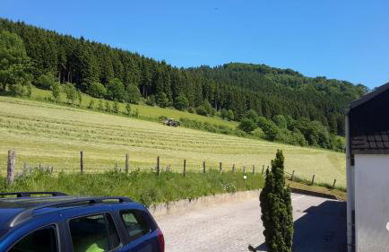 Niedersfeld Polzweg - Foto 7