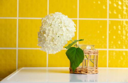 APARTMENT an den Weinbergen - Foto 17