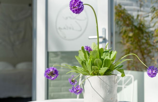 Holiday Home in Oostkapelle Near the Beach - Photo 19