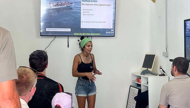 Lagos Dolphin Watching - Photo 5, Begin this experience with a briefing on land