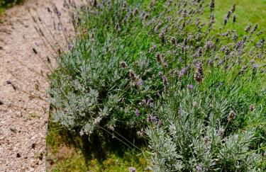 A l Aube du Midi - Foto 19