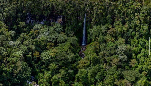 Impressionante queda de água no meio da selva
