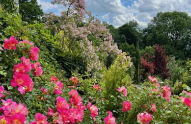 Villa Schaumburg - Boutique Hotel - Foto 7