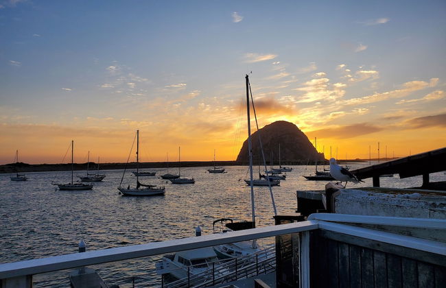 Gray's Inn & Gallery - Foto 69