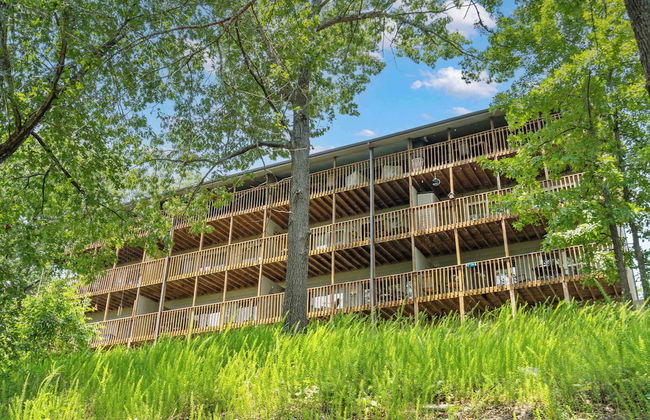 Black Bear Lodge - 1 Mile From Silver Dollar City - Photo 24