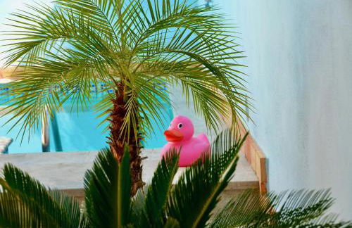 La Isla del Júcar - Foto 15