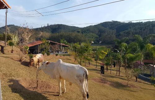 Chácara Recanto França - Foto 13