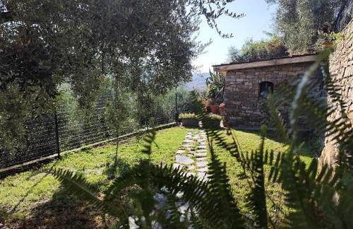 Almarea, a house between the sea and olive trees - Foto 40