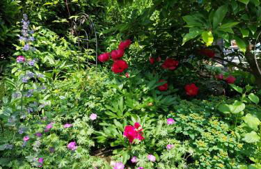 Anjas Ferienhaus Freiburg - Foto 23