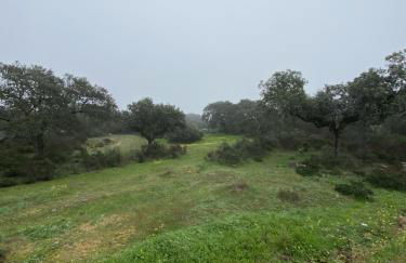 Casa Rural El Gamo - Foto 50