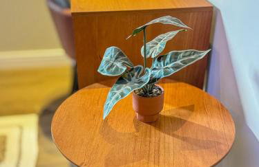 Casa Bela - Centro - Foto 9