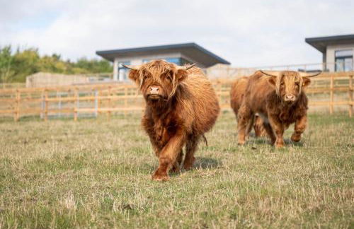 Bennachie Lodge - Foto 17