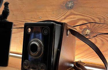 Żuławska Chata - Foto 19