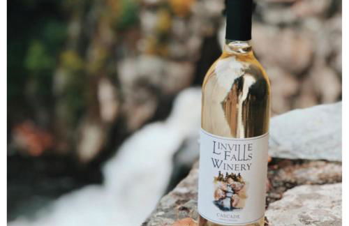 The Toasted Marshmallow 2 Kings Fire Pit Hiking - Foto 42