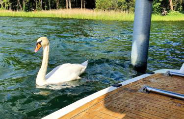 TraumZeitBoot Amavida Yacht auf dem Scharmützelsee Bad Saarow - Foto 23
