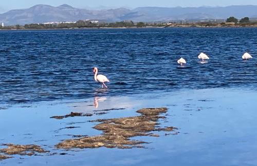 Domu in su satu - Foto 20