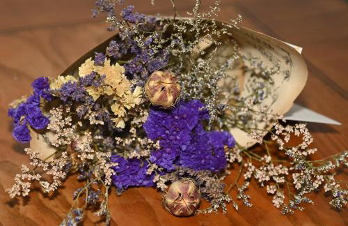 Villa Hortensie - Foto 10