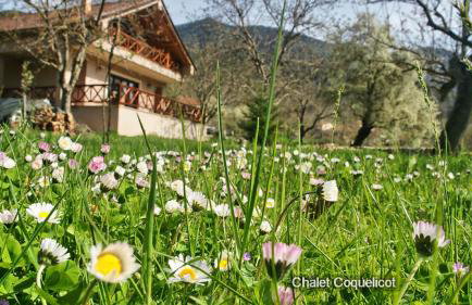 Chalet Coquelicot (Co-cli-co) relax in nature - Photo 29