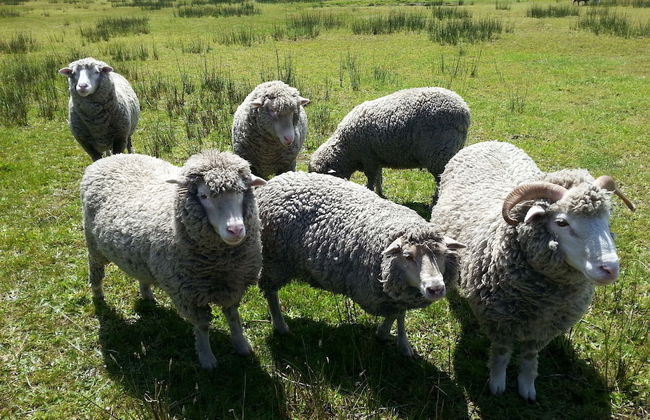 Nutkin Lodge - Photo 59