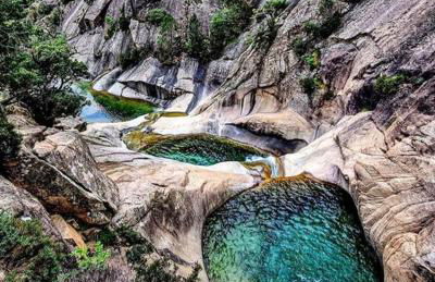 Les bougainvilliers - Foto 25