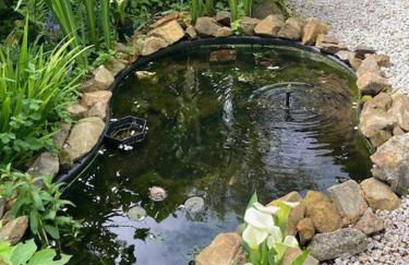 Lovely Shepherds hut near St Ives Cornwall - Foto 21