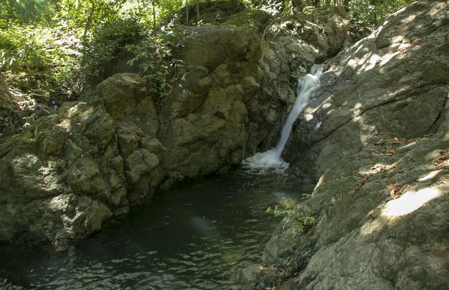 Villas Cabuya Beach & Forest - Foto 58