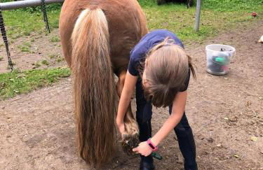 Erdhaus WEST - Ferienhof Bartel - Foto 36