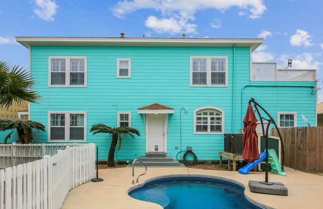 The Turquoise Turtle - Foto 27