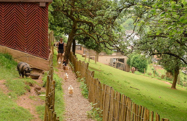 Nengshof - Haus Ehrenpreis - Foto 24
