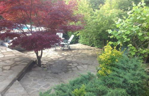 Nel verde house di Rolando - Photo 30