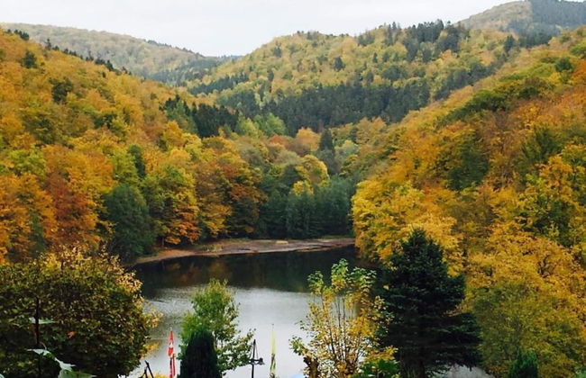 Stylish Retreat in Harz - Foto 36