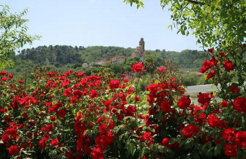 Agriturismo Ada Musso ss - Foto 29