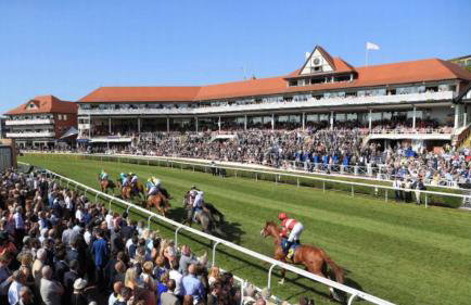 The Highfield Chester. - Foto 45