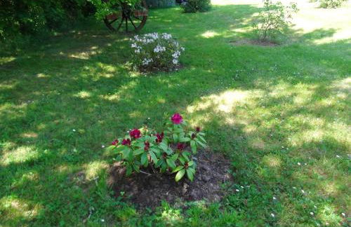 Appartement avec piscine à Montpezat-de-Quercy 40 m² - Foto 17