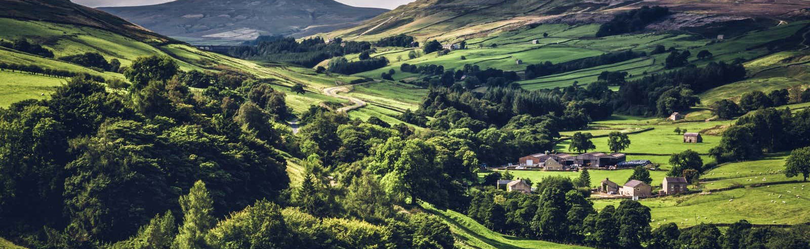 Yorkshire Dales National Park Day Trip