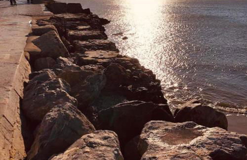 Appart T2 vue imprenable sur le canal et la mer - Foto 4