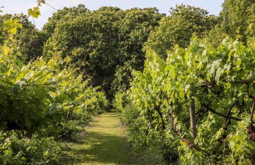 Oak Meadow - Foto 44