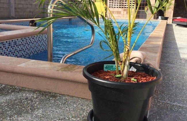 Ri'Biero's Holiday Apartments - Foto 28