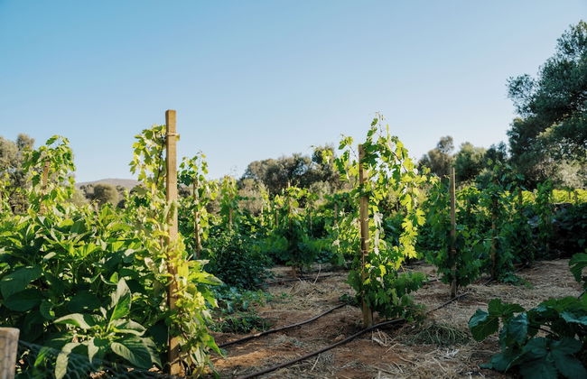 Village Heights Resort - Foto 60