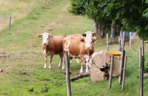 Haus Grabenbühl - Foto 30