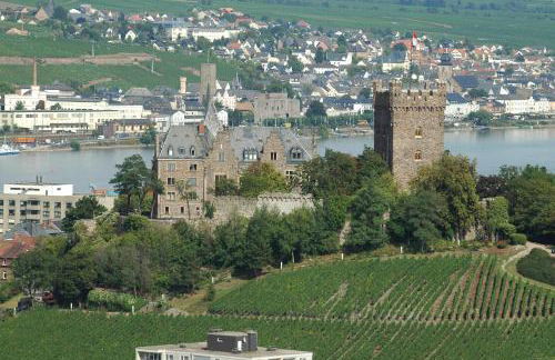 An den Weinbergen - Foto 20